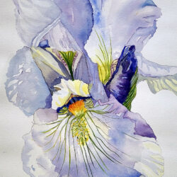 Beginning Watercolor III with Janie Edwards