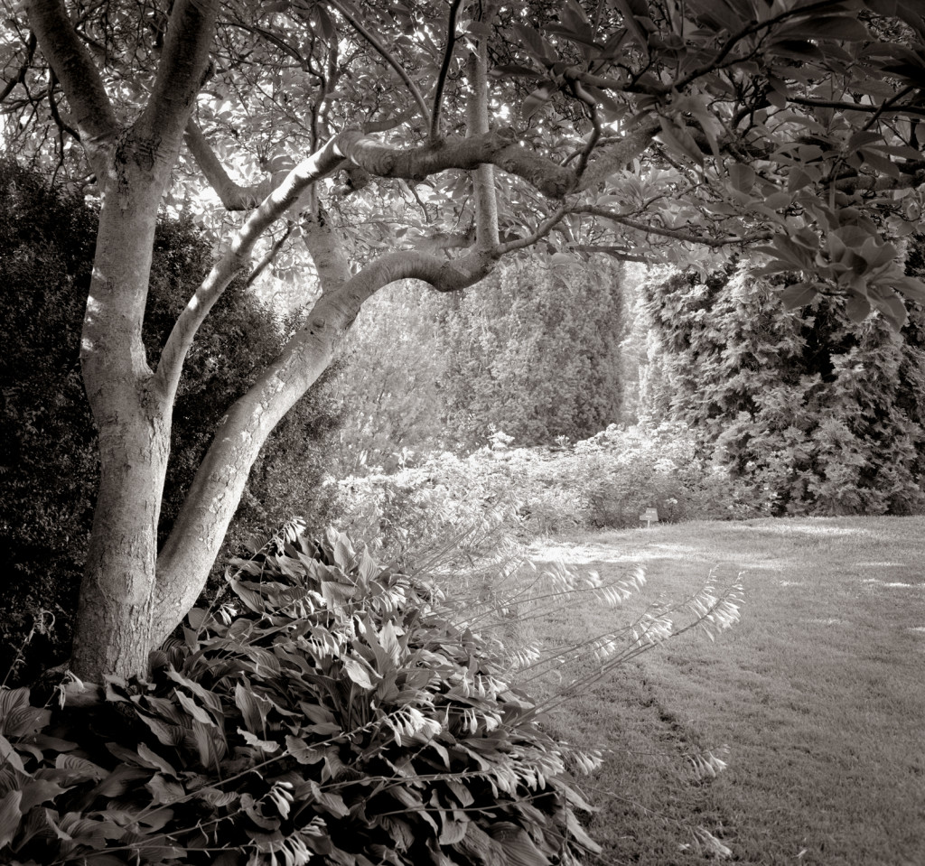 Bill and Kathy Kostelec