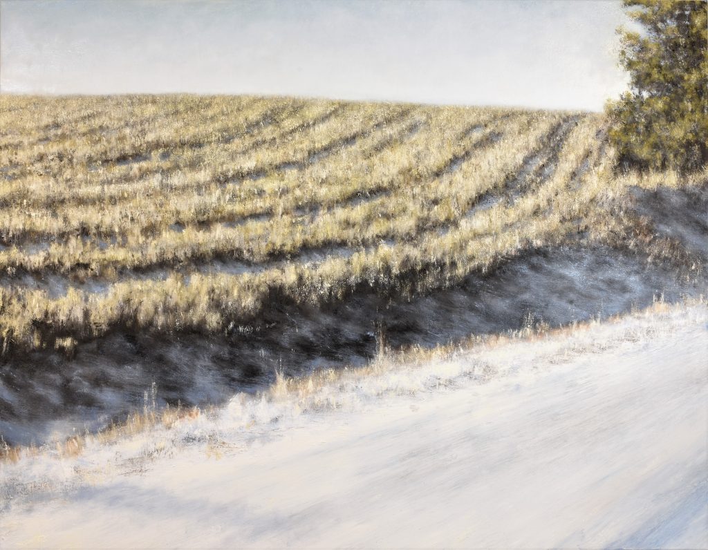 Owen McAuley 1971 - 2021