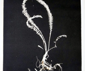 Making Art at Home #4: Bottle Art – Animal Plant Pots and Painted Flowers