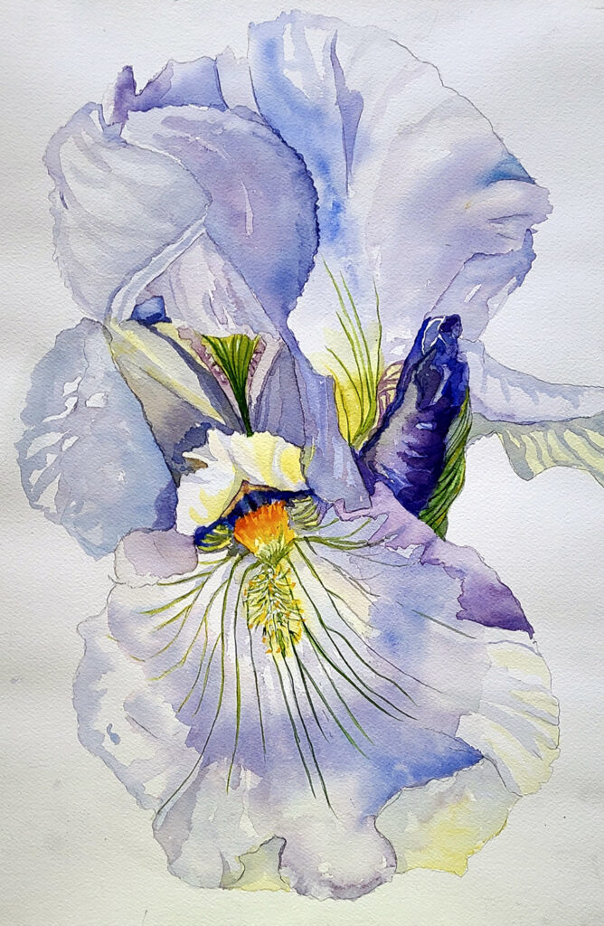 Classes Spokane Art School