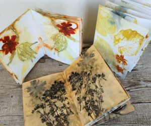 Eco Printed Accordion Journal with Nan Drye