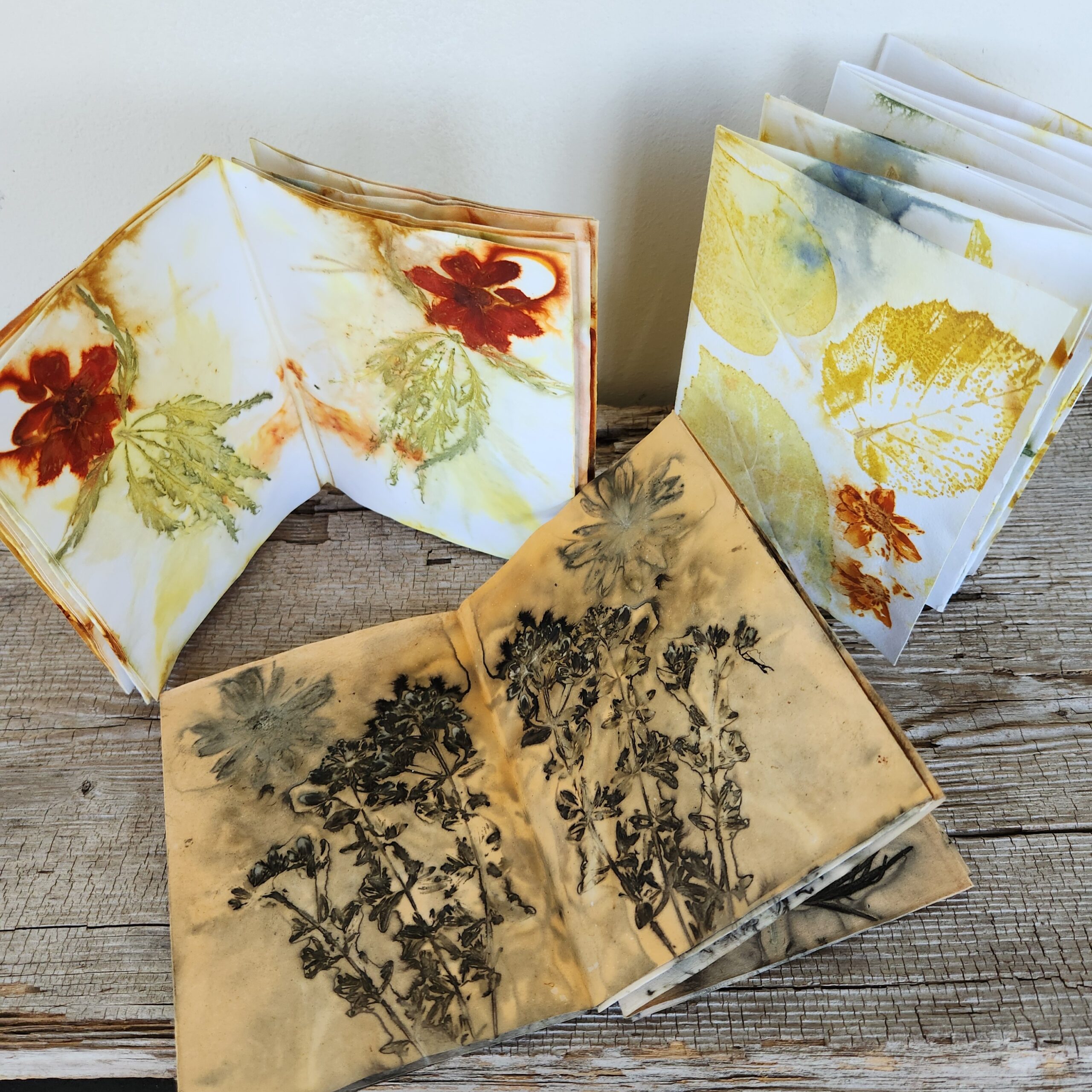 Eco Printed Accordion Journal with Nan Drye Spokane Art School