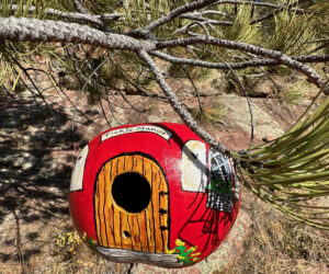 Gourd Birdhouse with Cindy Curtis