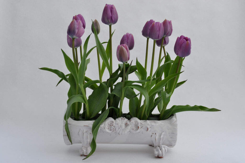 In Search of the Perfect Vase – Collista Krebs June 3- 24, 2022