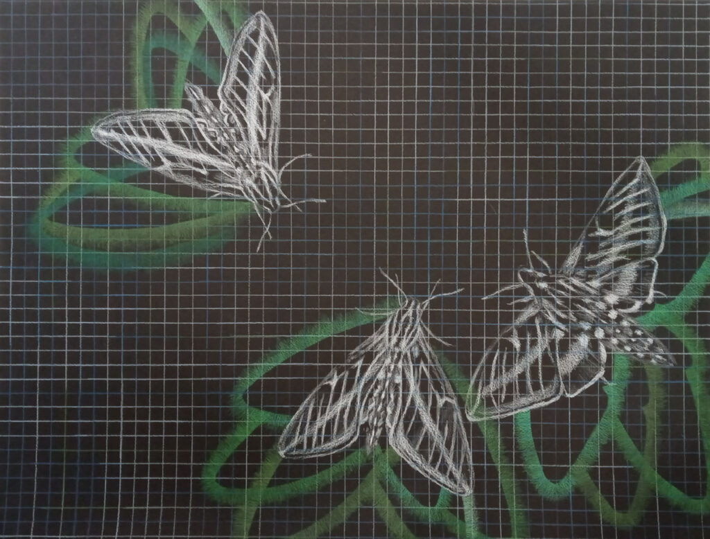 Open Space – Mariah Boyle August 6 – 27, 2021