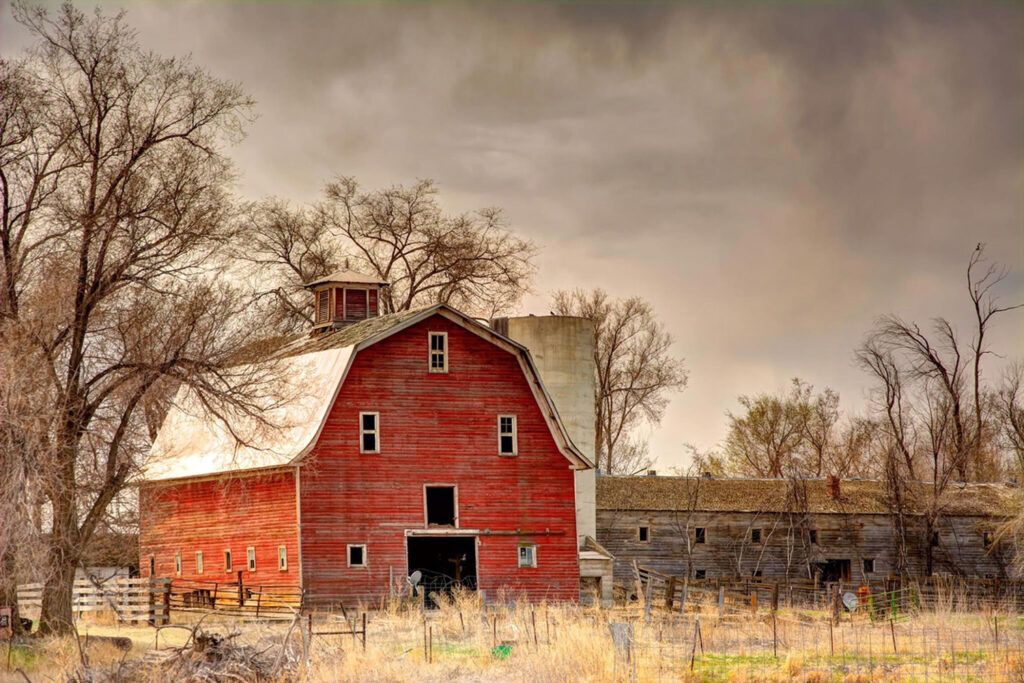 Wonder Wall – Roger DuBois May 6 – 28, 2021