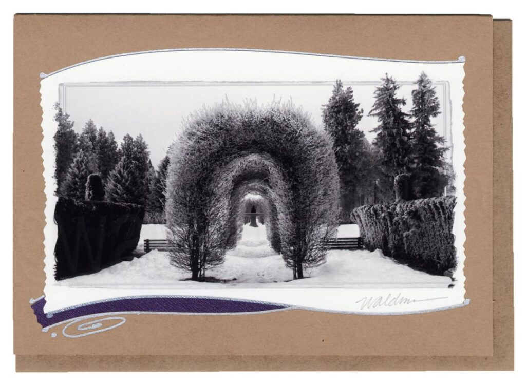 Manito-Winter Duncan Garden