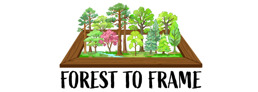 forest to frame logo